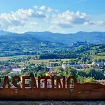 Inviting In With Patio Поппи